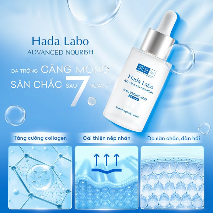 da_abc38e86516543a9a309cb2f6bb035b1